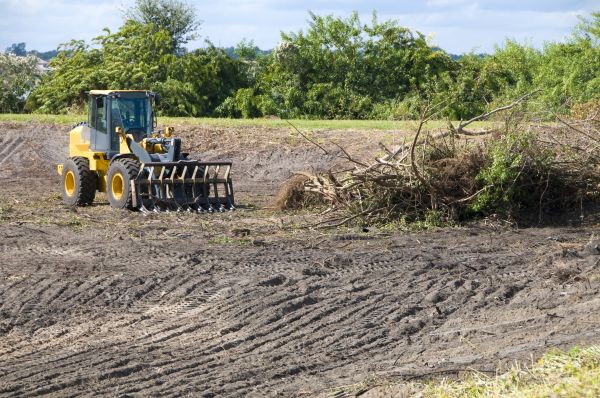 Lewes Land Clearing