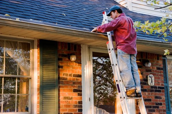 Lewes Gutter Covers Service