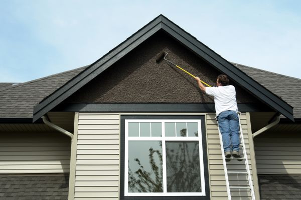 Lewes Exterior Painting